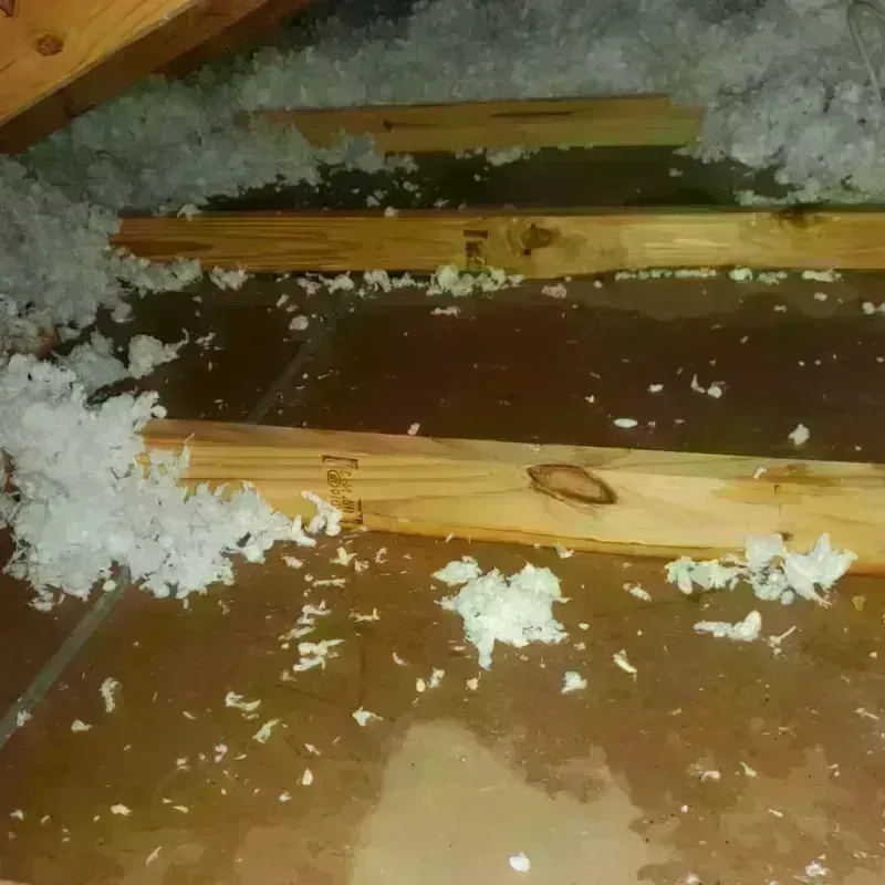 Attic Water Damage in West Englewood, IL