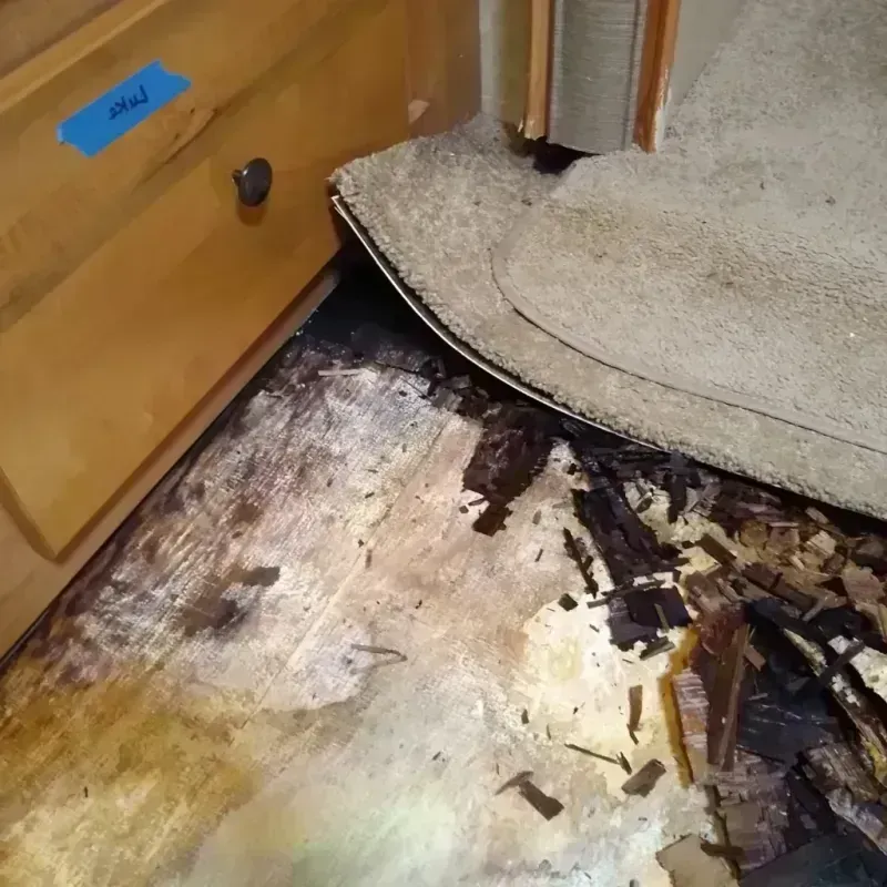 Wood Floor Water Damage in West Englewood, IL